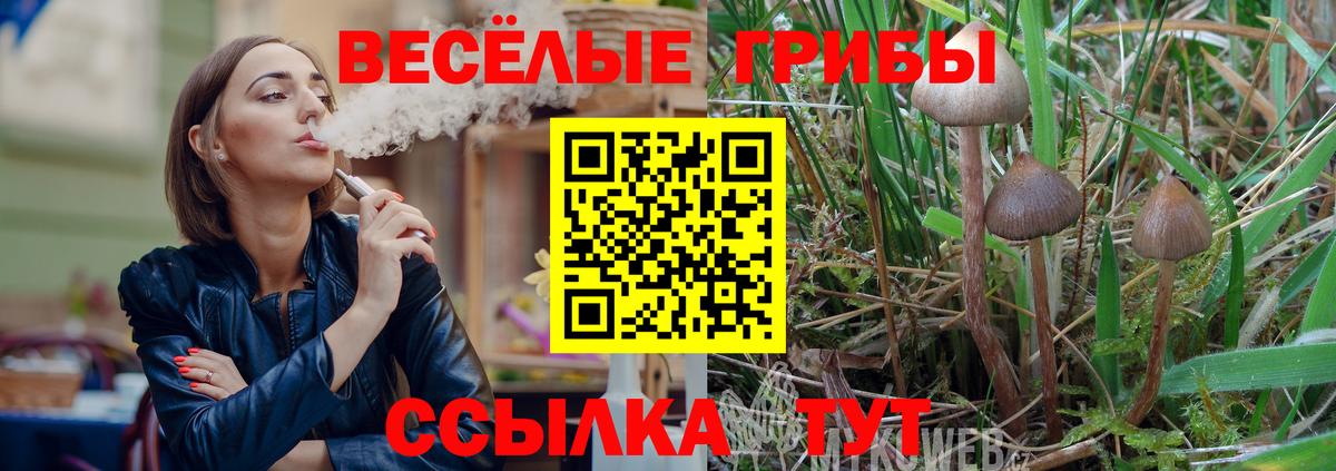 где купить наркоту  Вход с VPN  Клинцы  Псилоцибиновые грибы ЛСД 